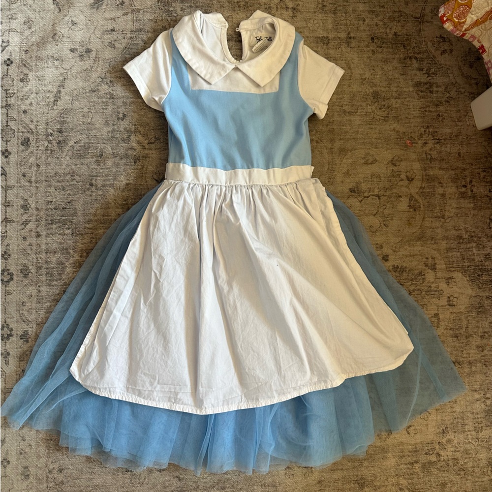 Taylor Joelle Size 6 Princess Dress